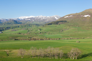 Traitement punaises de lit Cournon-d'Auvergne