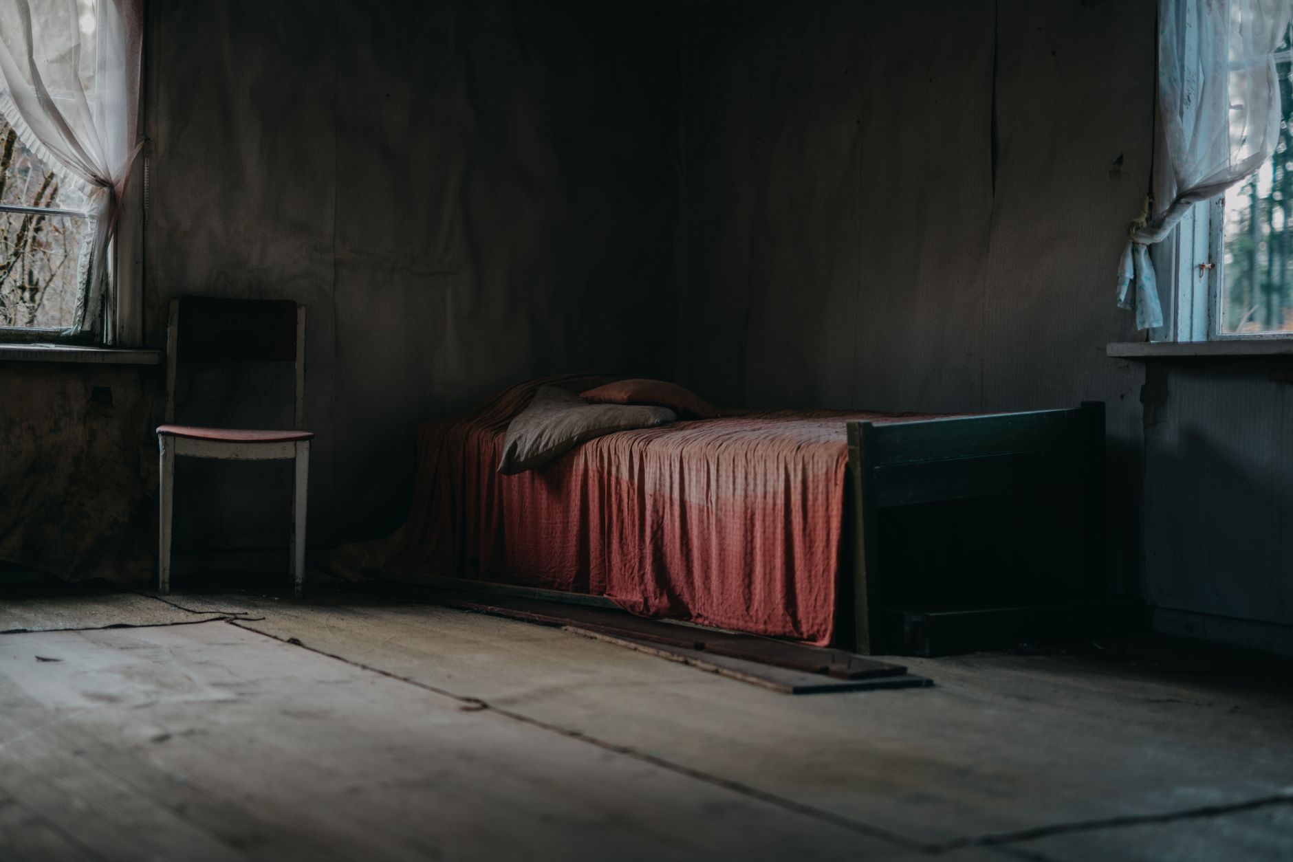 Traitement punaises de lit à Cournon-d'Auvergne